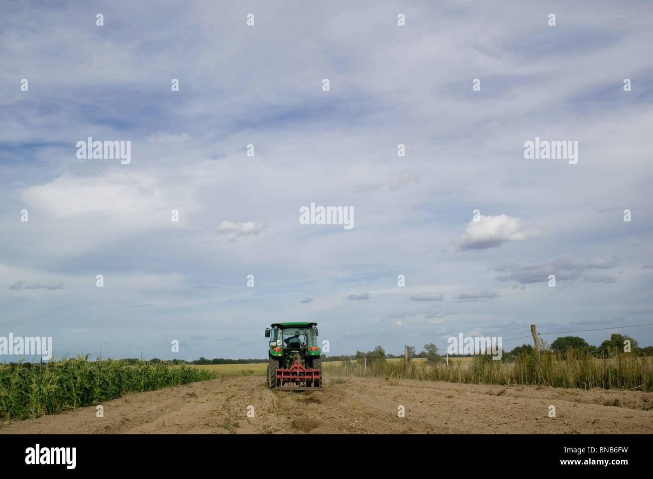 Organic farming Stock Photo