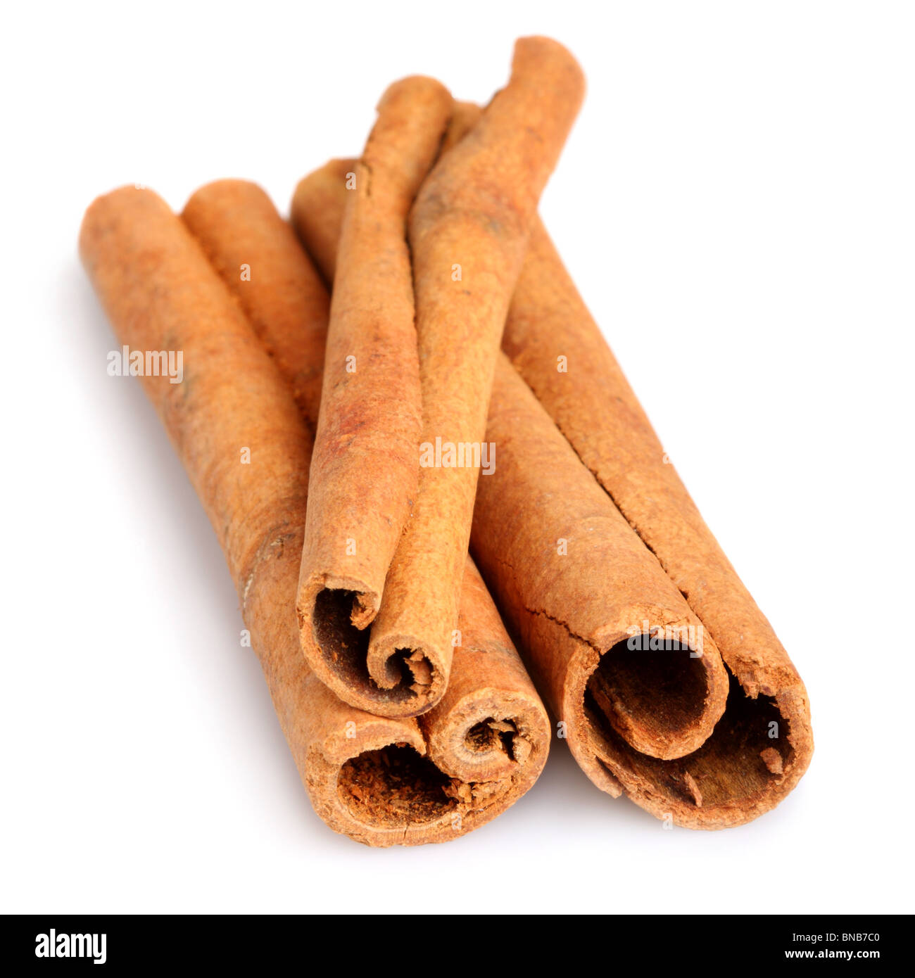 Cinnamon sticks isolated on white background. Shallow DOF Stock Photo