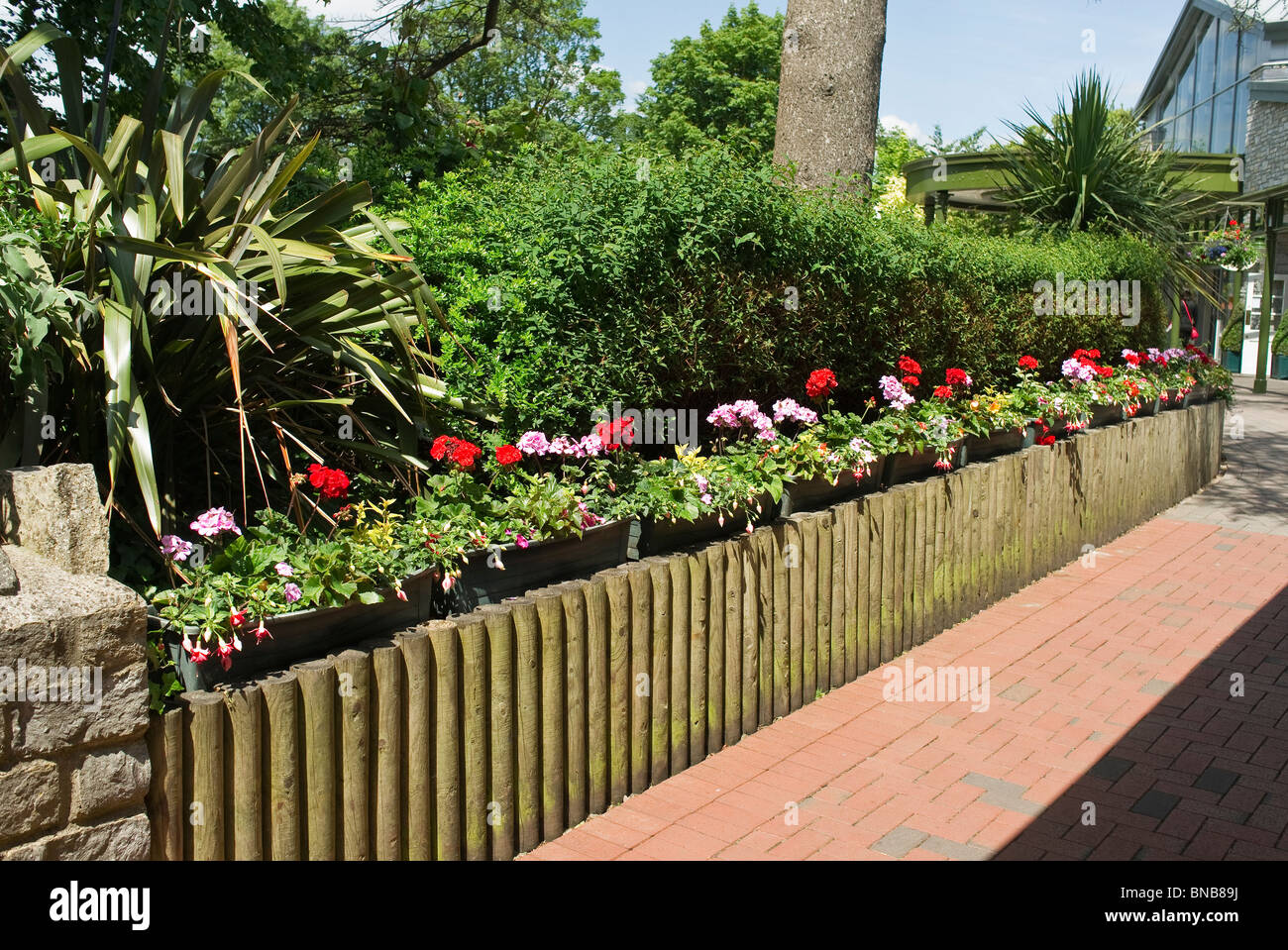 Neat retaining wall beside path using short timber sections Stock Photo