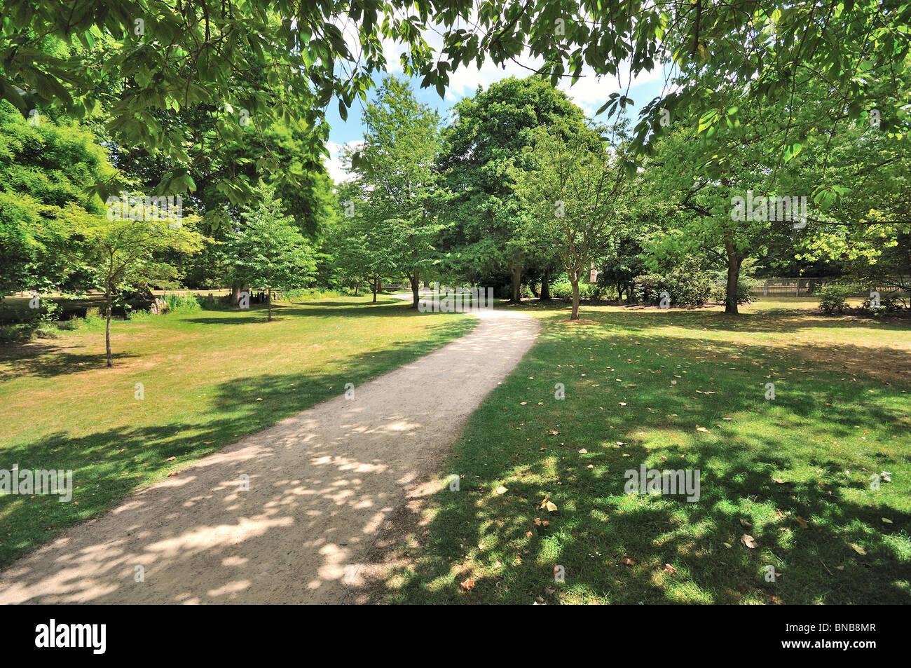 Bushy Park west London  UK with path receding into distance Stock Photo