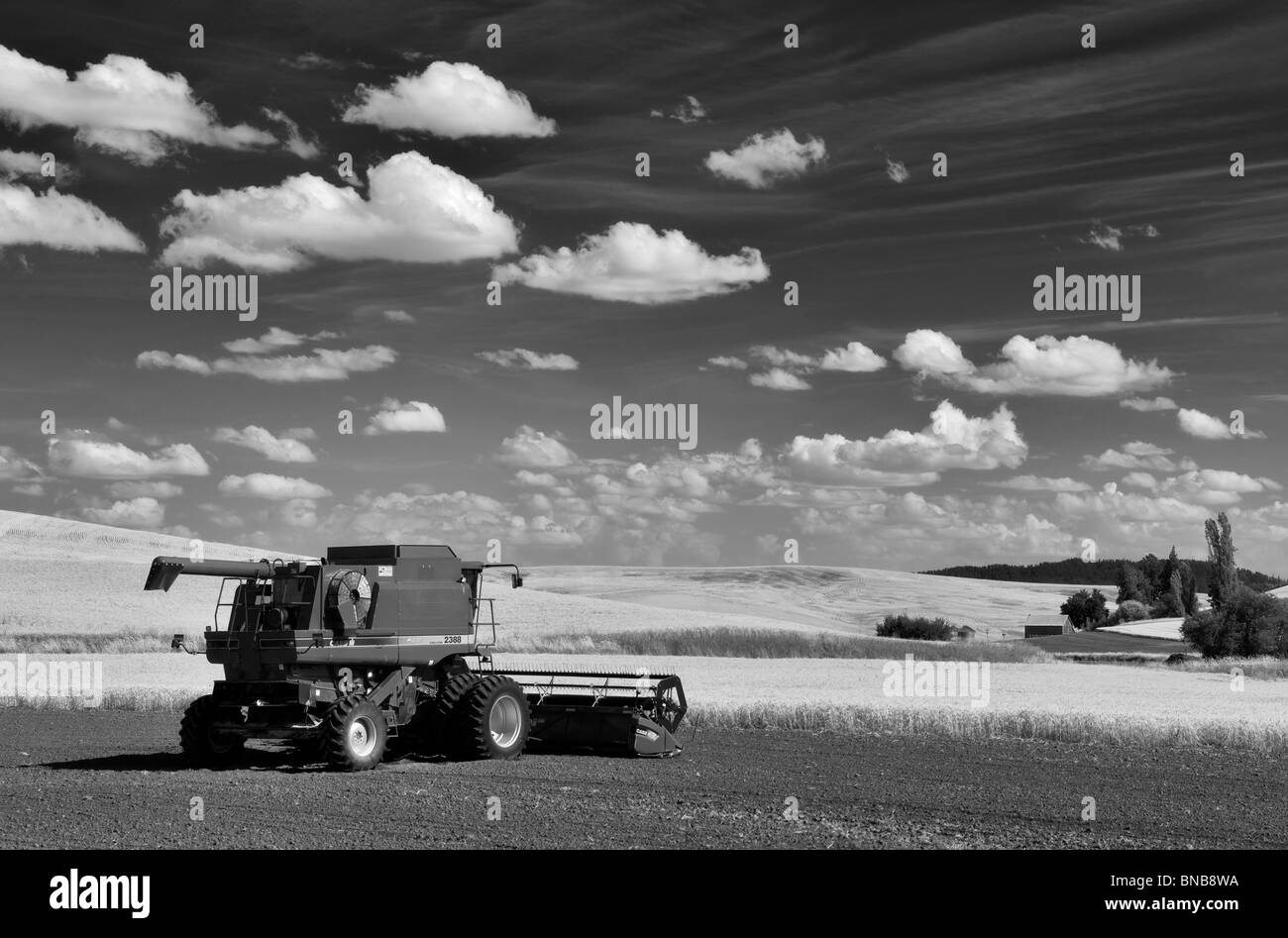 Combine harvester in newlt plowed field with wheat fields. The Palouse, Washington Stock Photo