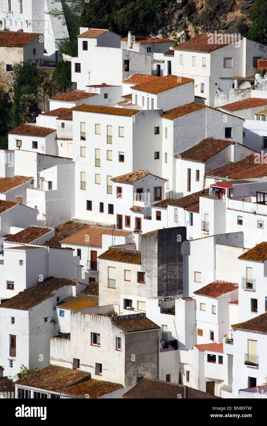 View of the town, Casares, Malaga Province, Andalucia, Spain, Western Europe. Stock Photo