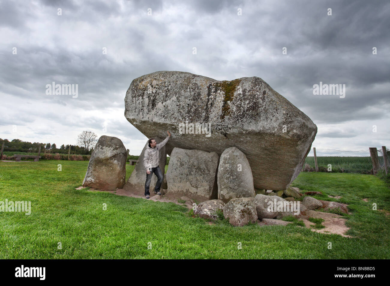 The Brownshill Dolmen, Co Carlow Stock Photo Alamy