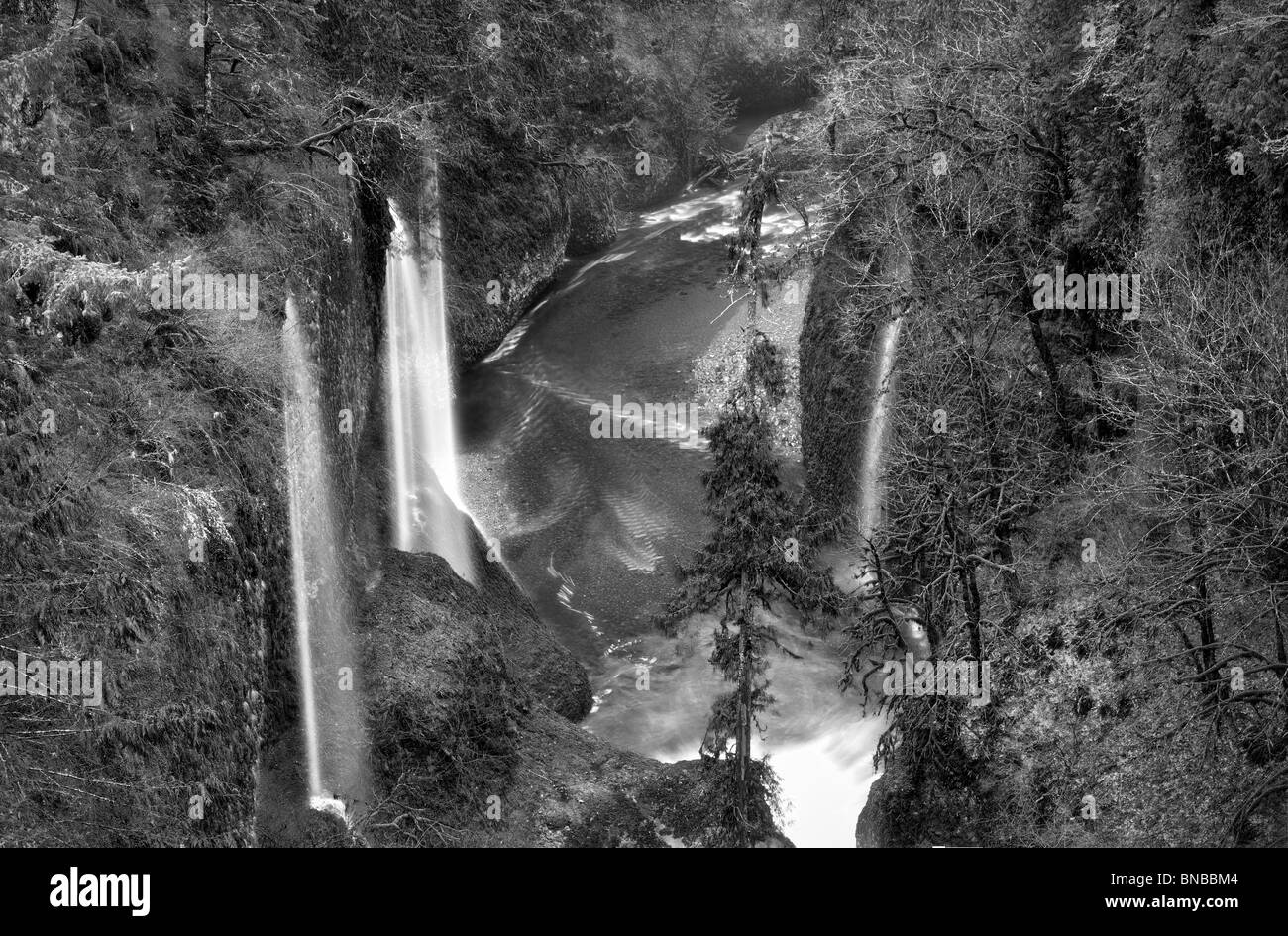 Seasonal waterfalls (unnamed) into Eagle Creek. Columbia River Gorge National Scenic Area, Oregon Stock Photo