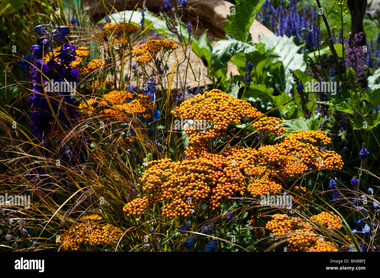 'An Uprising of Kindness' show garden at Hampton Court Flower Show 2010, London, United Kingdom Stock Photo