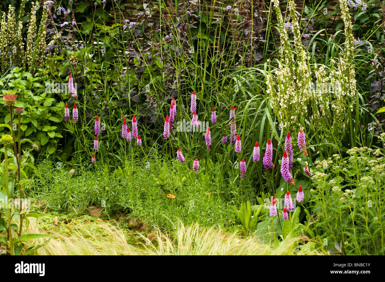 'It's Only Natural' show garden at Hampton Court Flower Show 2010, London, United Kingdom Stock Photo