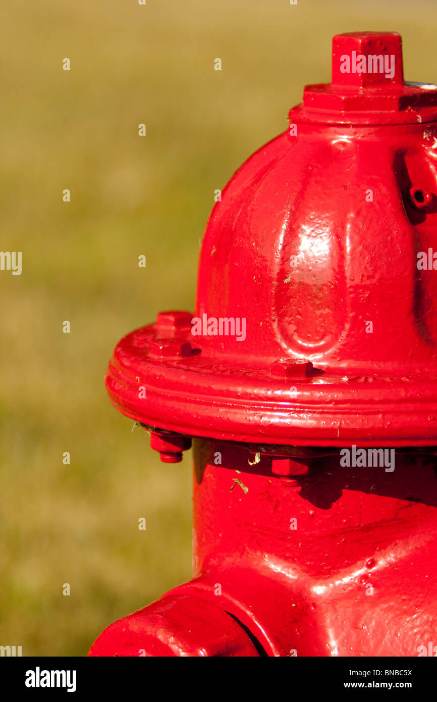 A red fire hydrant Stock Photo Alamy