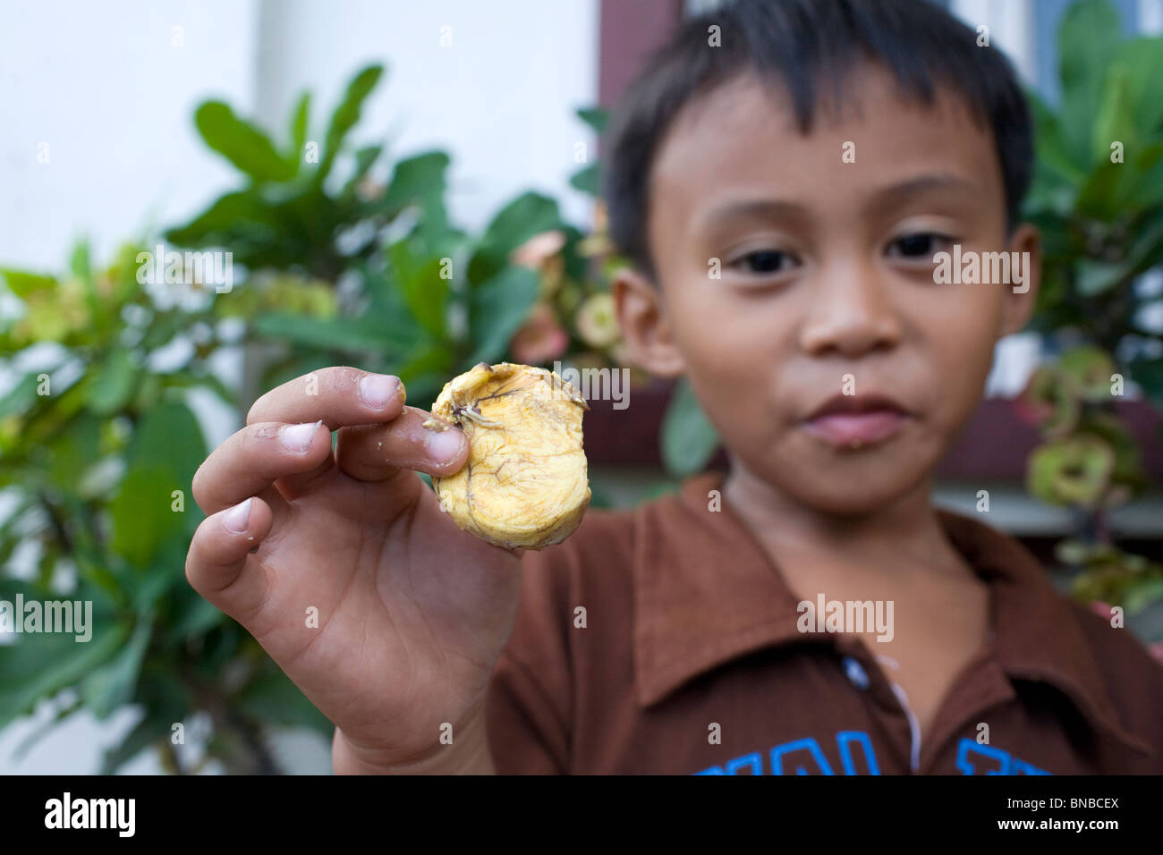 A Filipino boy displays the yolk of a balut, or cooked fertilized duck egg, while enjoying the delicacy in the Philippines. Stock Photo