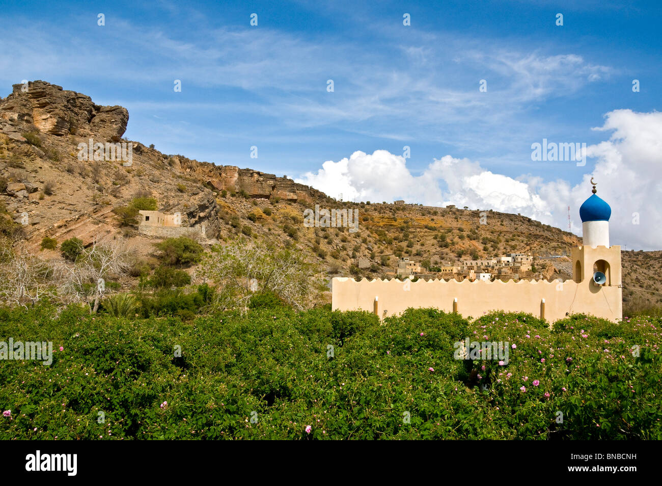 Mosque Jabal el Akhdar  Al Dakhiliyah region Sultanate of Oman" Stock Photo