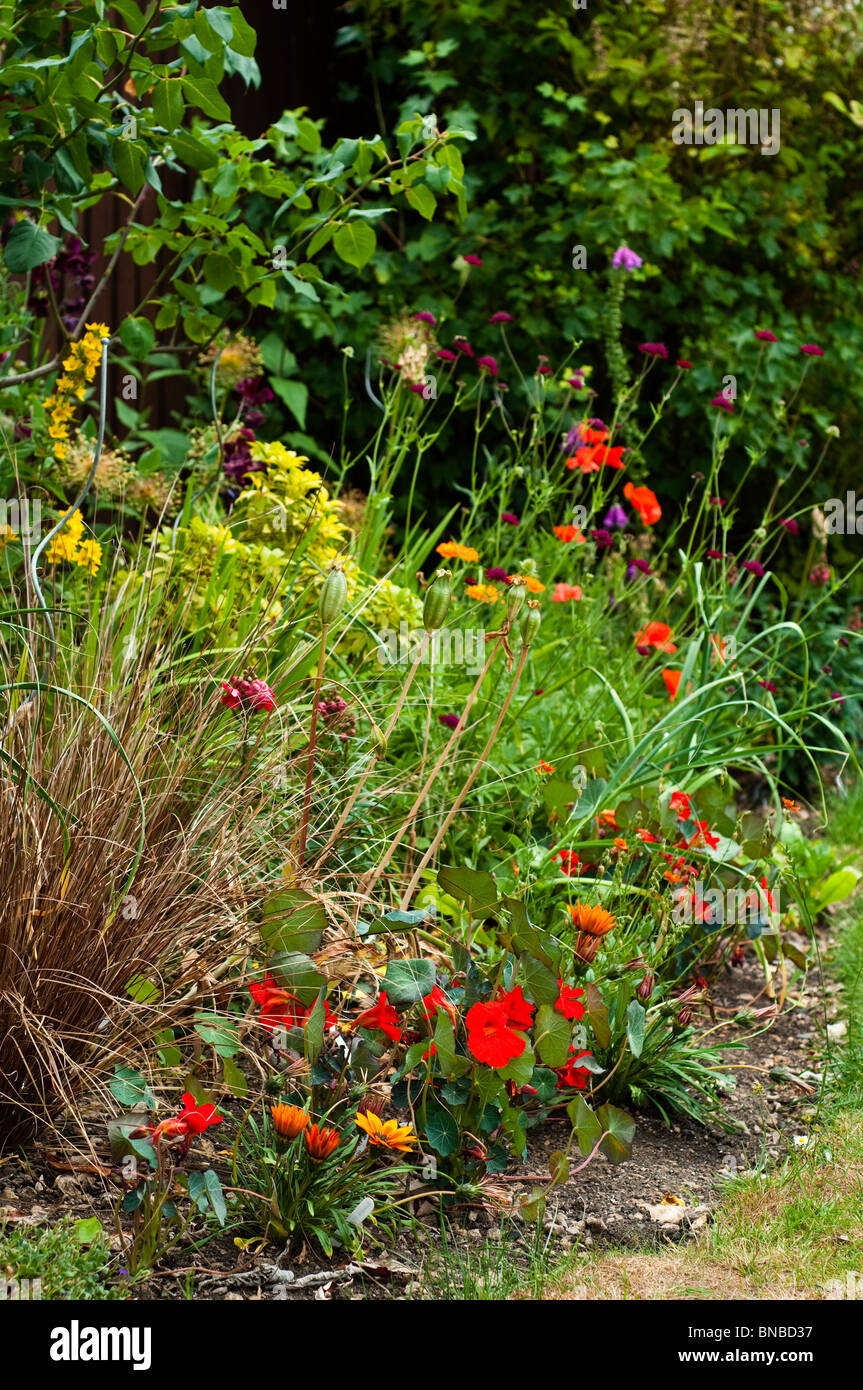 Mixed flower border in early summer in an English garden Stock Photo