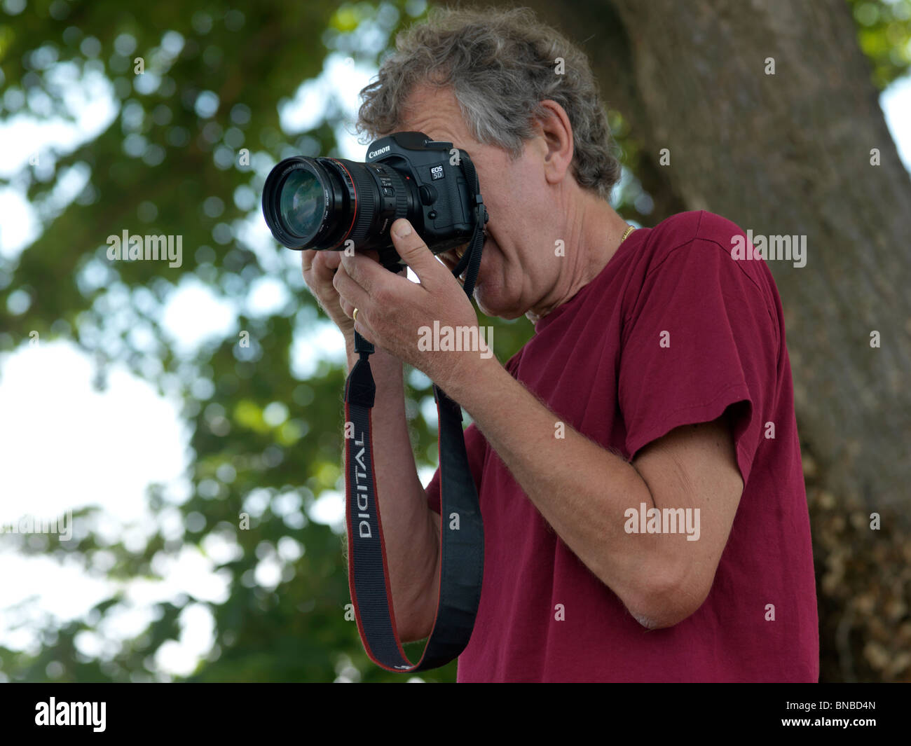 Professional Photographer taking pictures Stock Photo