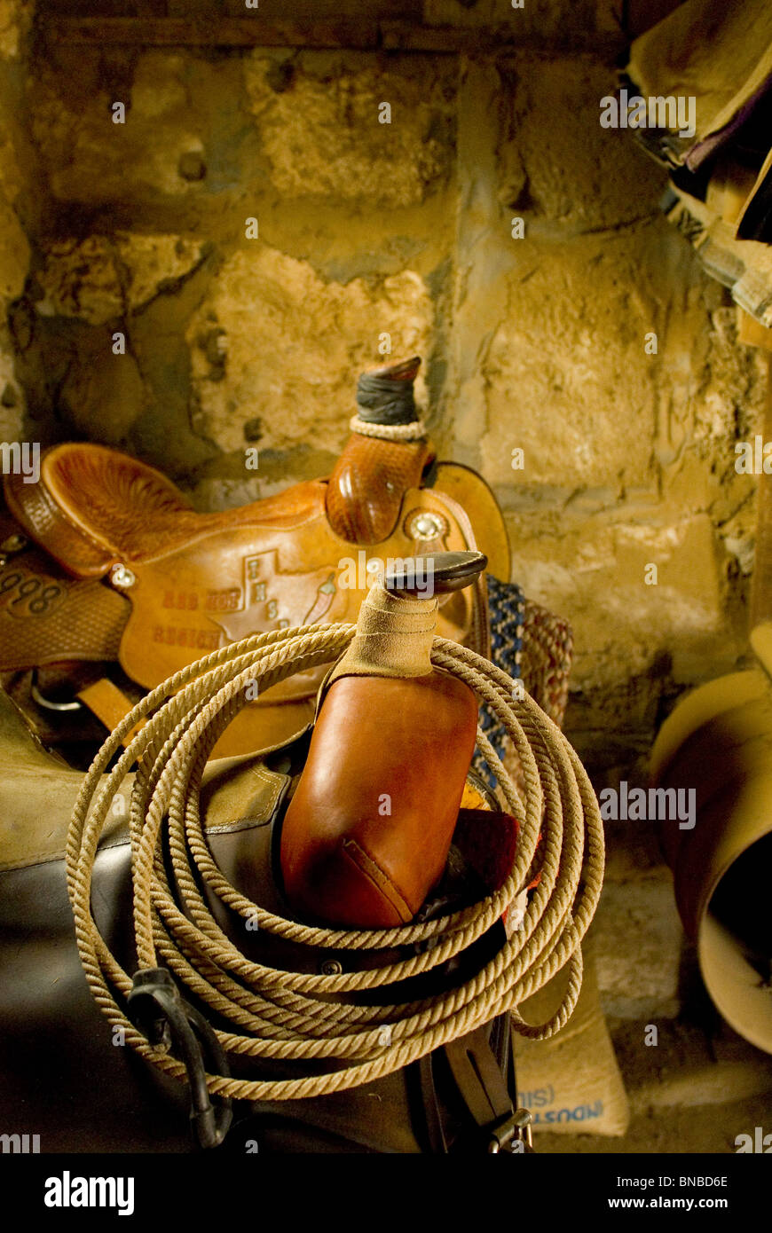Western Riding Saddles Stock Photo - Alamy