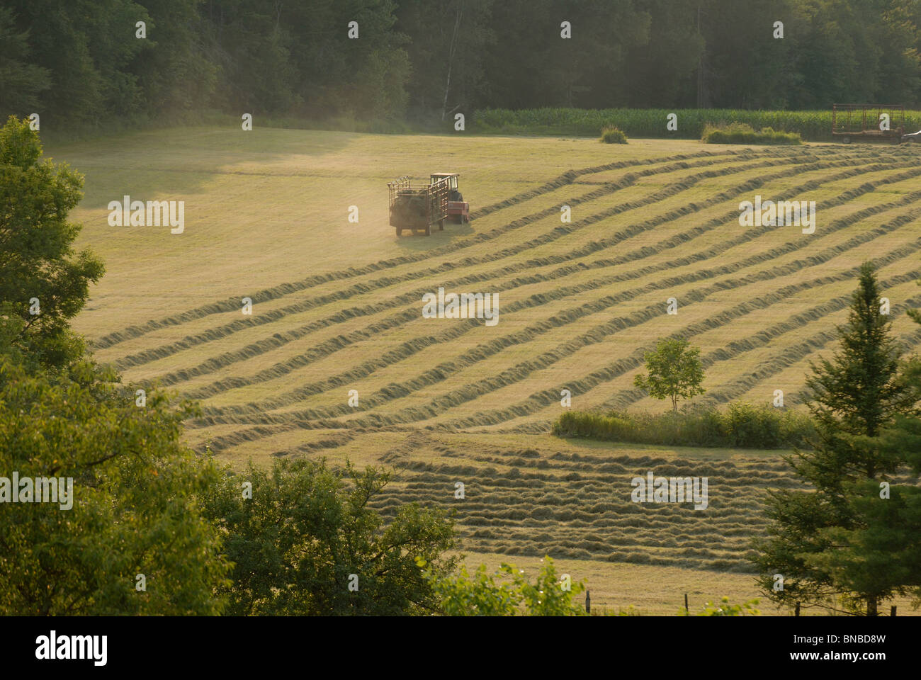 A farmer gathers hay in a field in Vermont Stock Photo Alamy