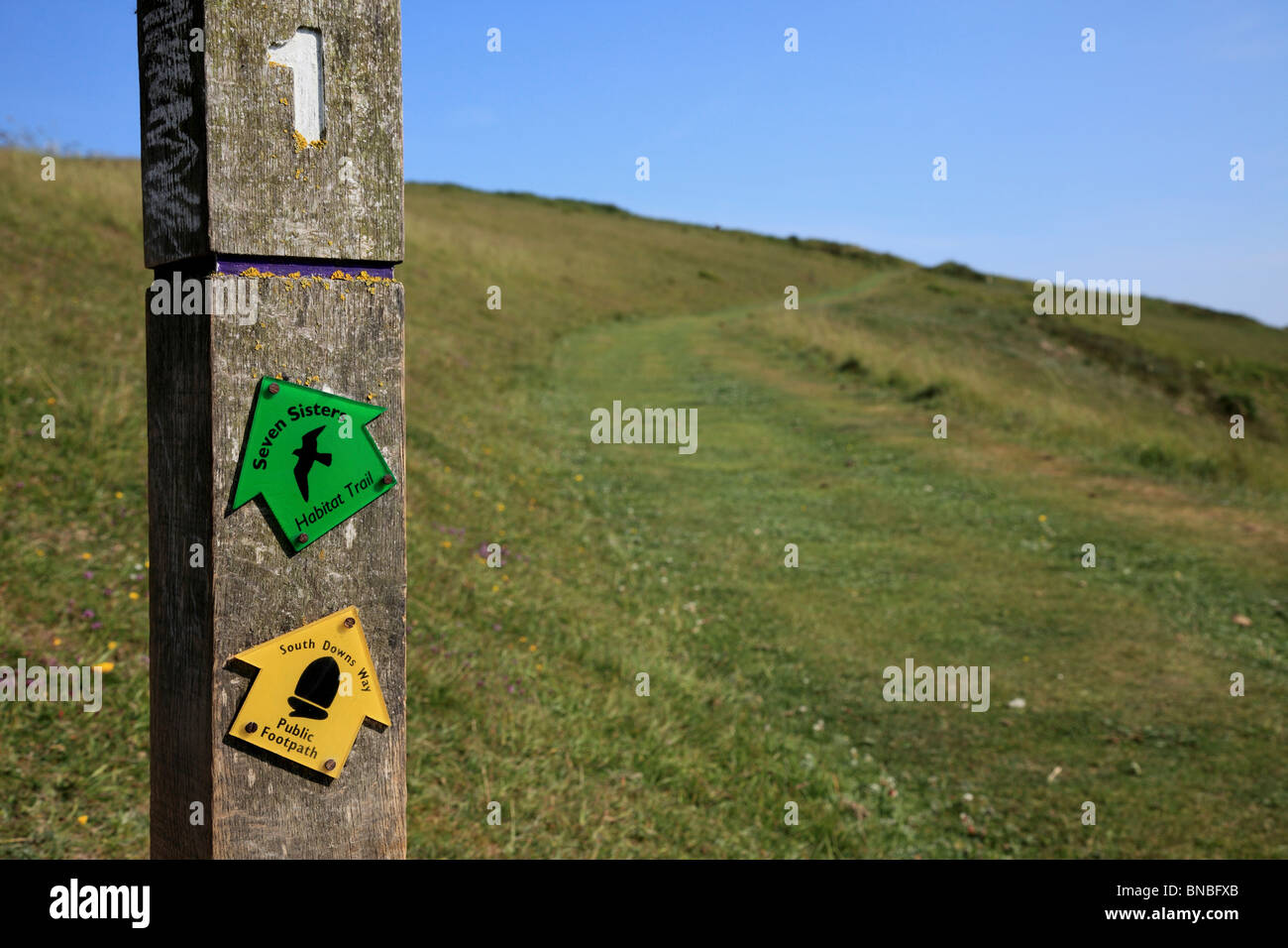 3256. South Downs Way, Seven Sisters Country Park, Cuckmere, East Sussex, UK Stock Photo