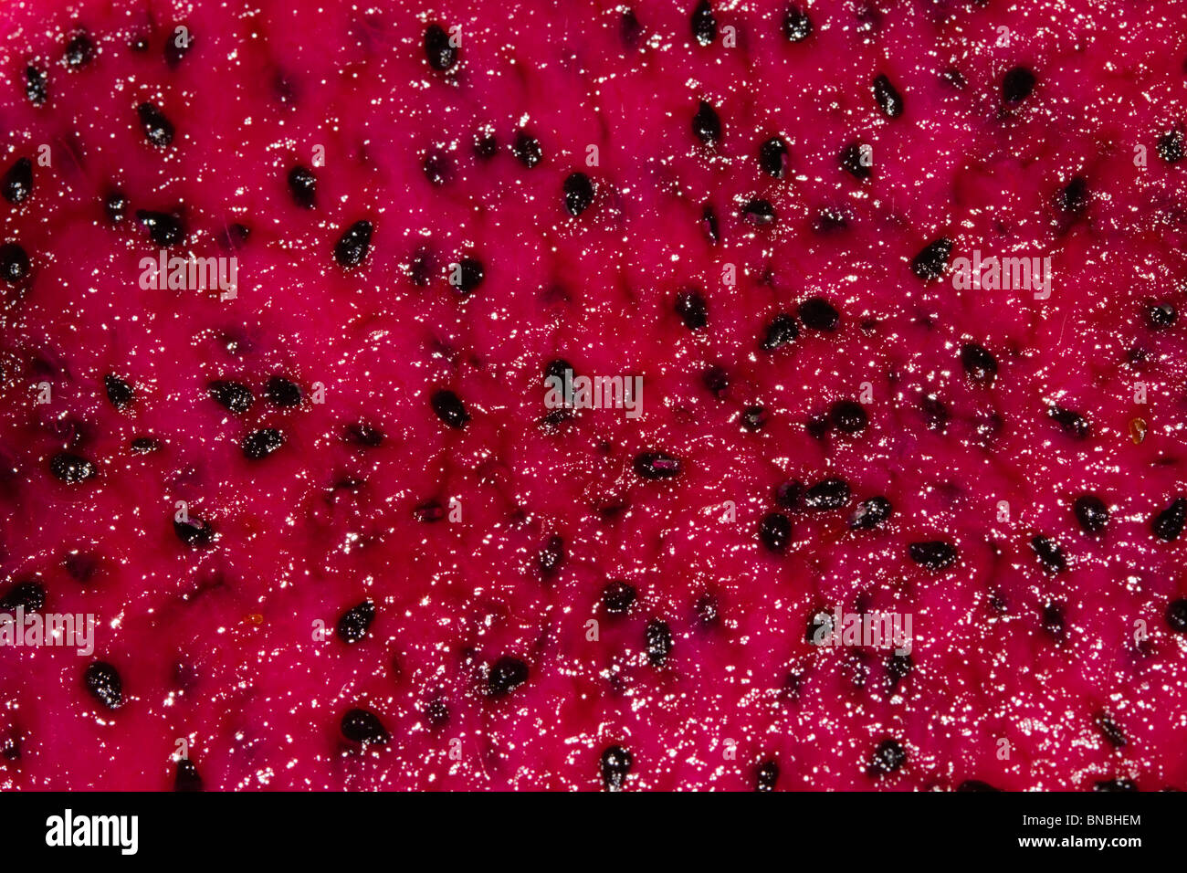 Pitaya, or Pitahaya, is commonly known as Dragonfruit. Stock Photo