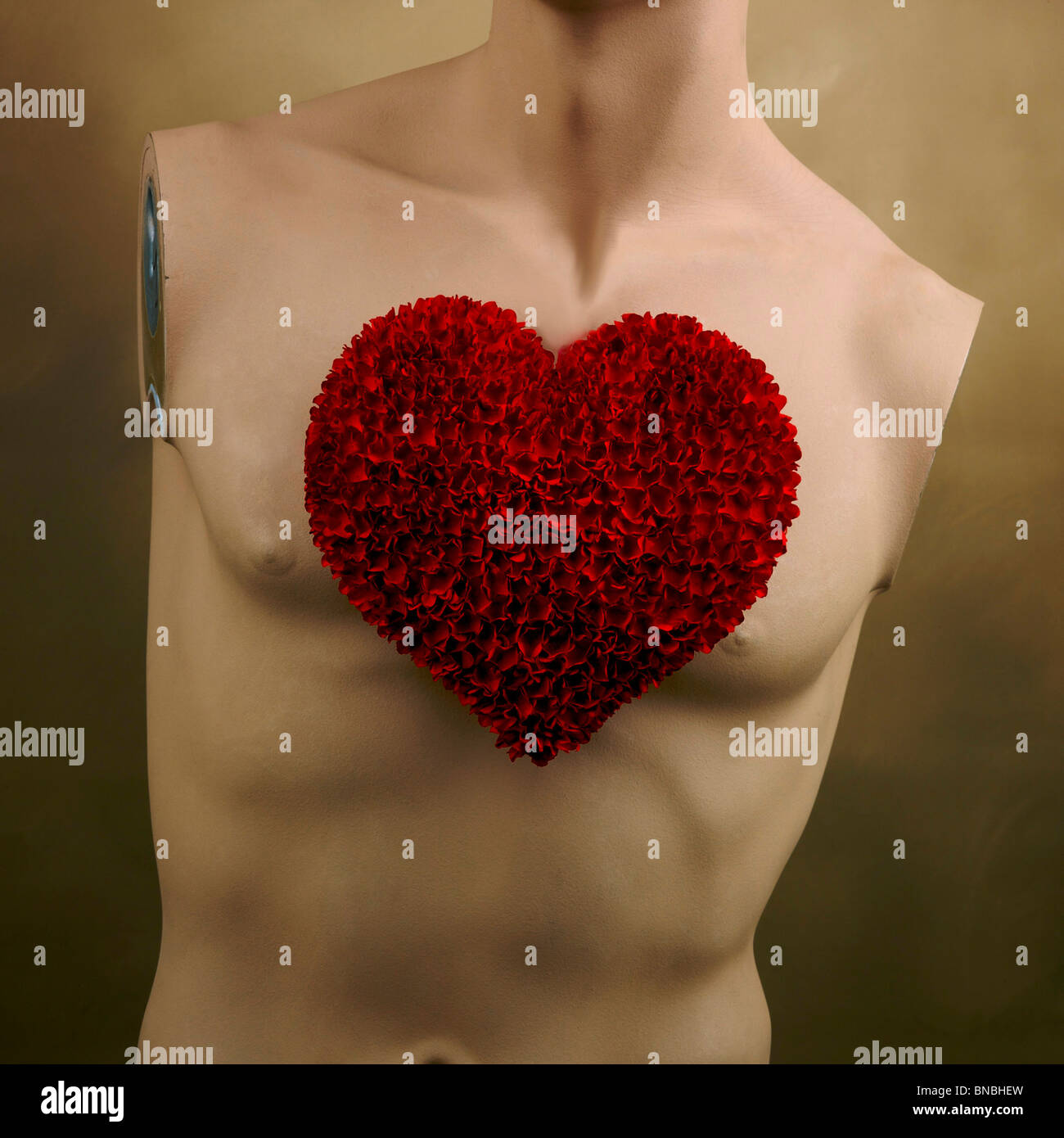 Paper love heart fixed on a chest of dummy. Stock Photo