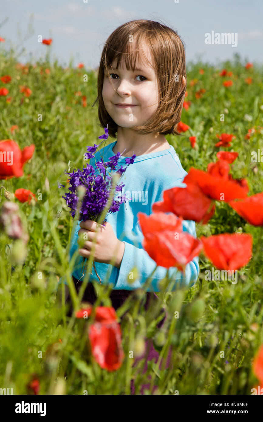 Corn poppy hi-res stock photography and images - Alamy