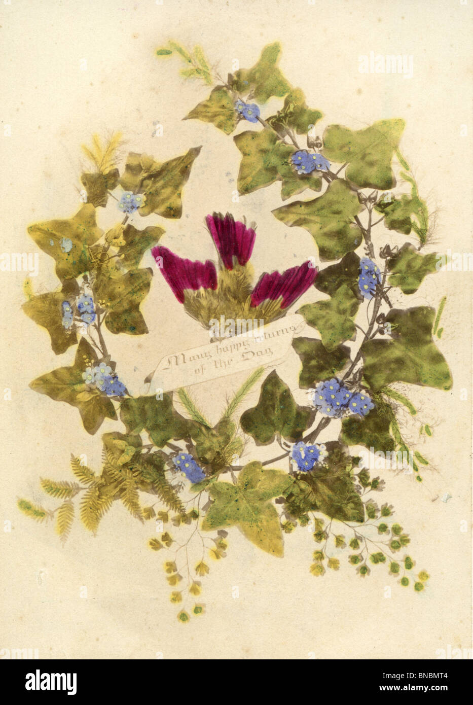 Victorian Photo Album - Ivy and Violets Stock Photo