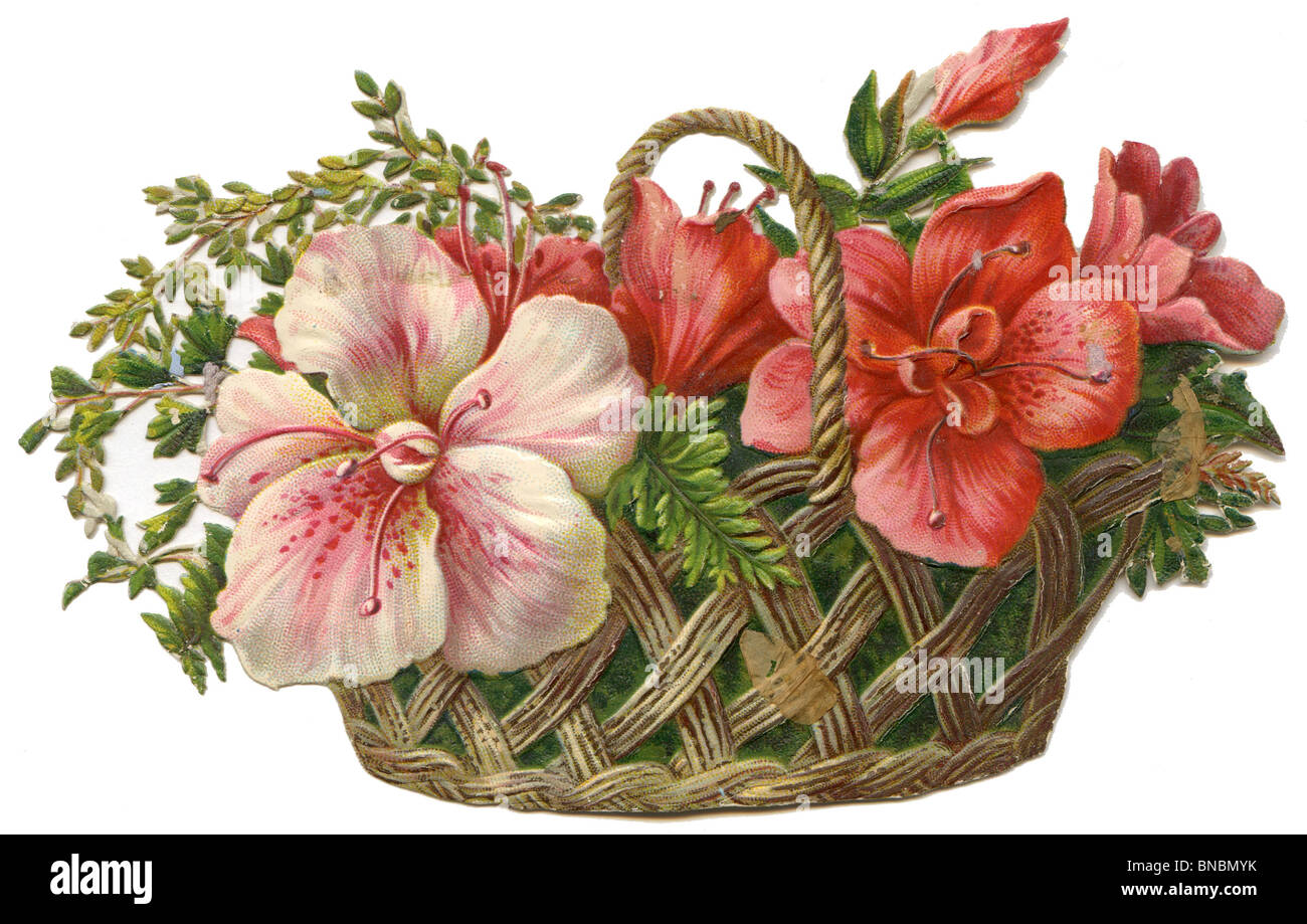Hibiscus in a Basket Stock Photo