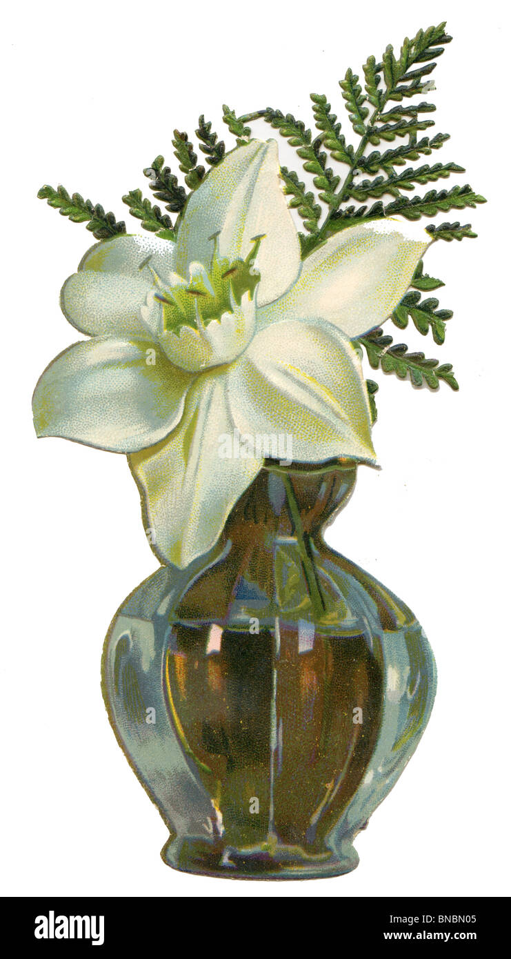 White Daffodil and Fern in a Vase Stock Photo
