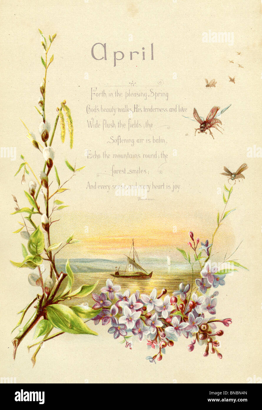 April Poem with Blossom and Willow Stock Photo