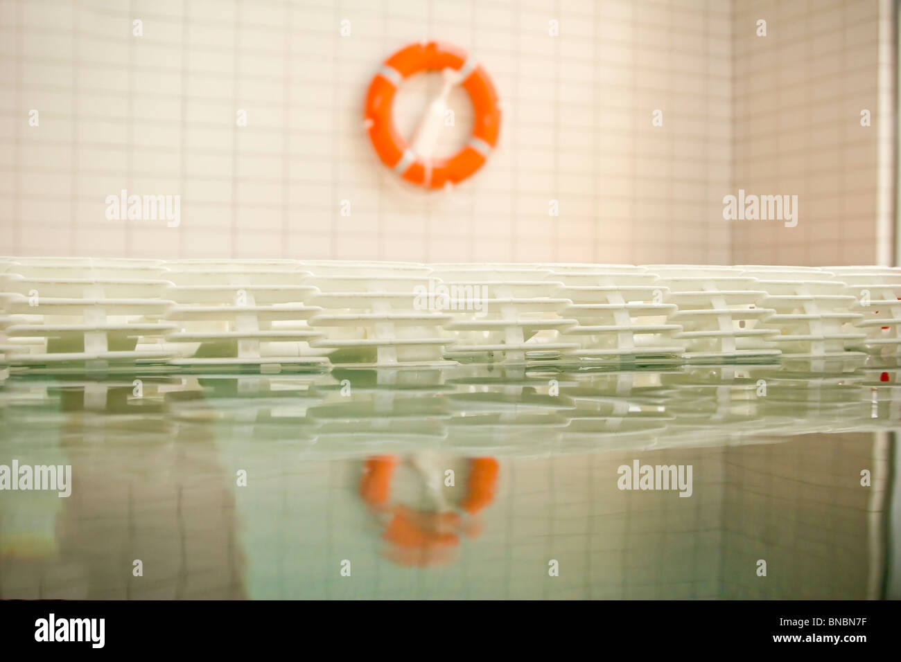 Lifebuoy on swimming pool Stock Photo