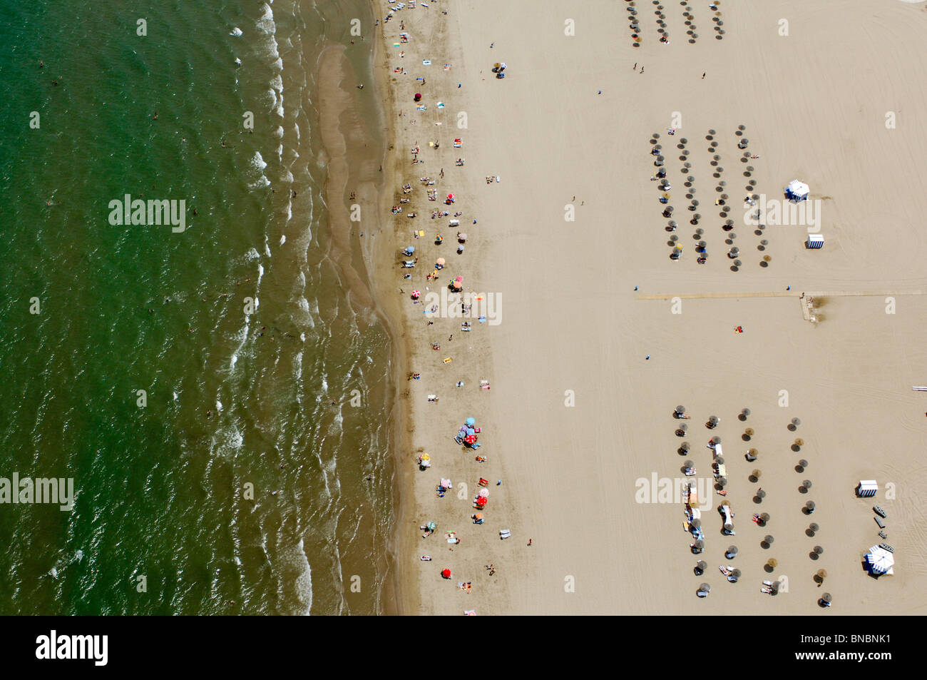 Aerial view shoreline and beach with beach goers and arranged lines of