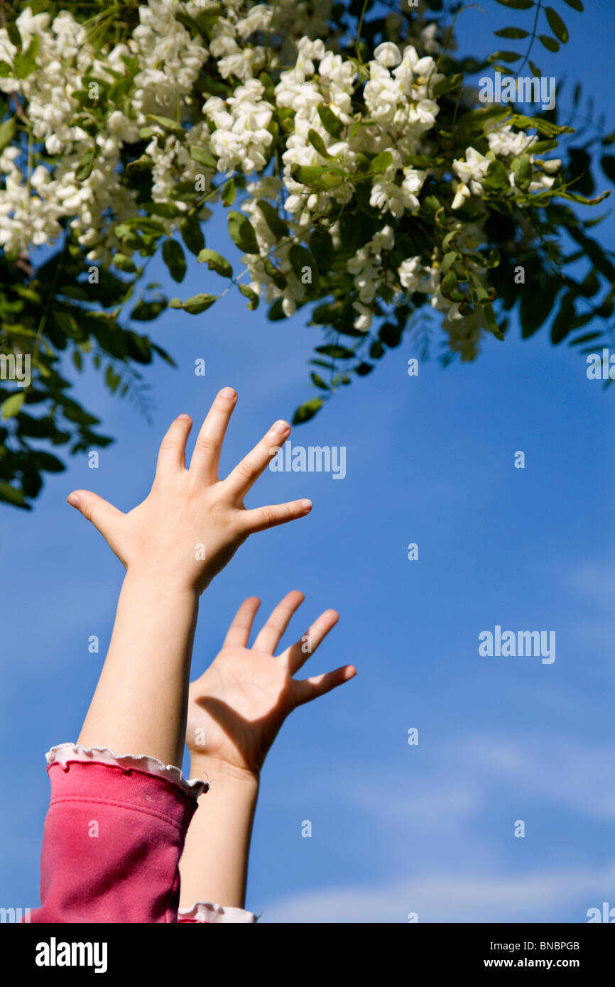 jump of little girl and tree in the spring - hands Stock Photo