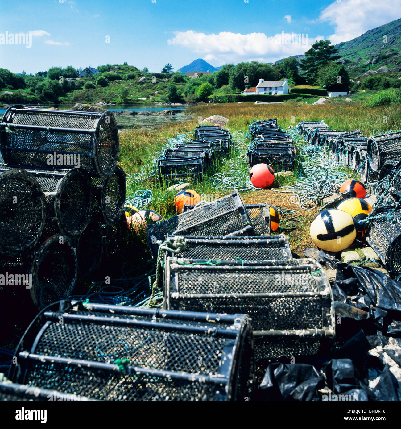 LOBSTER POTS COUNTY KERRY IRELAND EUROPE Stock Photo Alamy