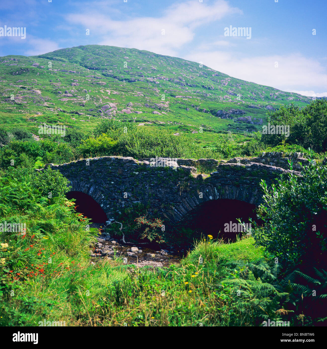 ANCIENT IRISH STONE BRIDGE NEAR STAIGUE FORT COUNTY KERRY IRELAND Stock Photo