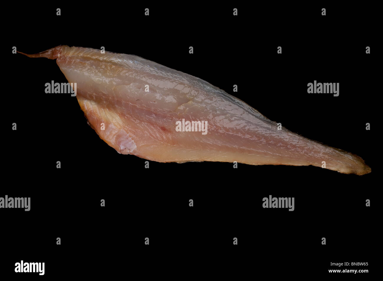 Haddock or offshore hake fillet distributed on both sides of the North