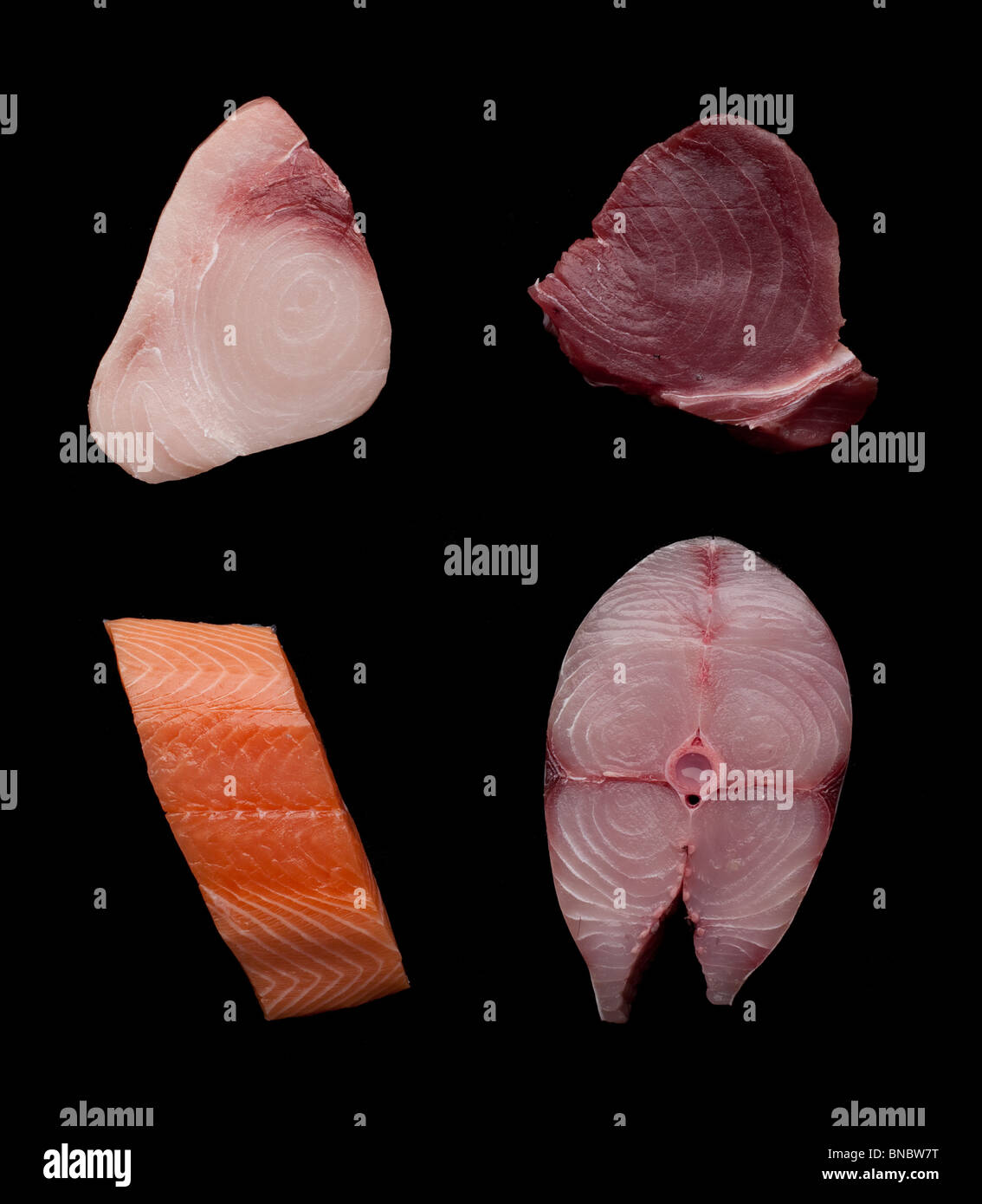 Swordfish (Xiphias gladius),  tuna  & Salmon (Salmonidae)  fillets or steaks Stock Photo