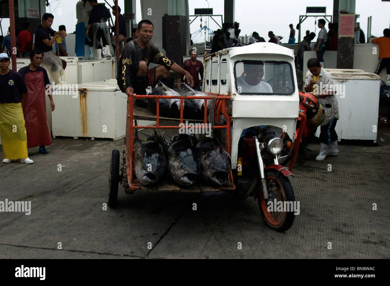 Tricycle takes the tuna catch away from General Santos City fish market