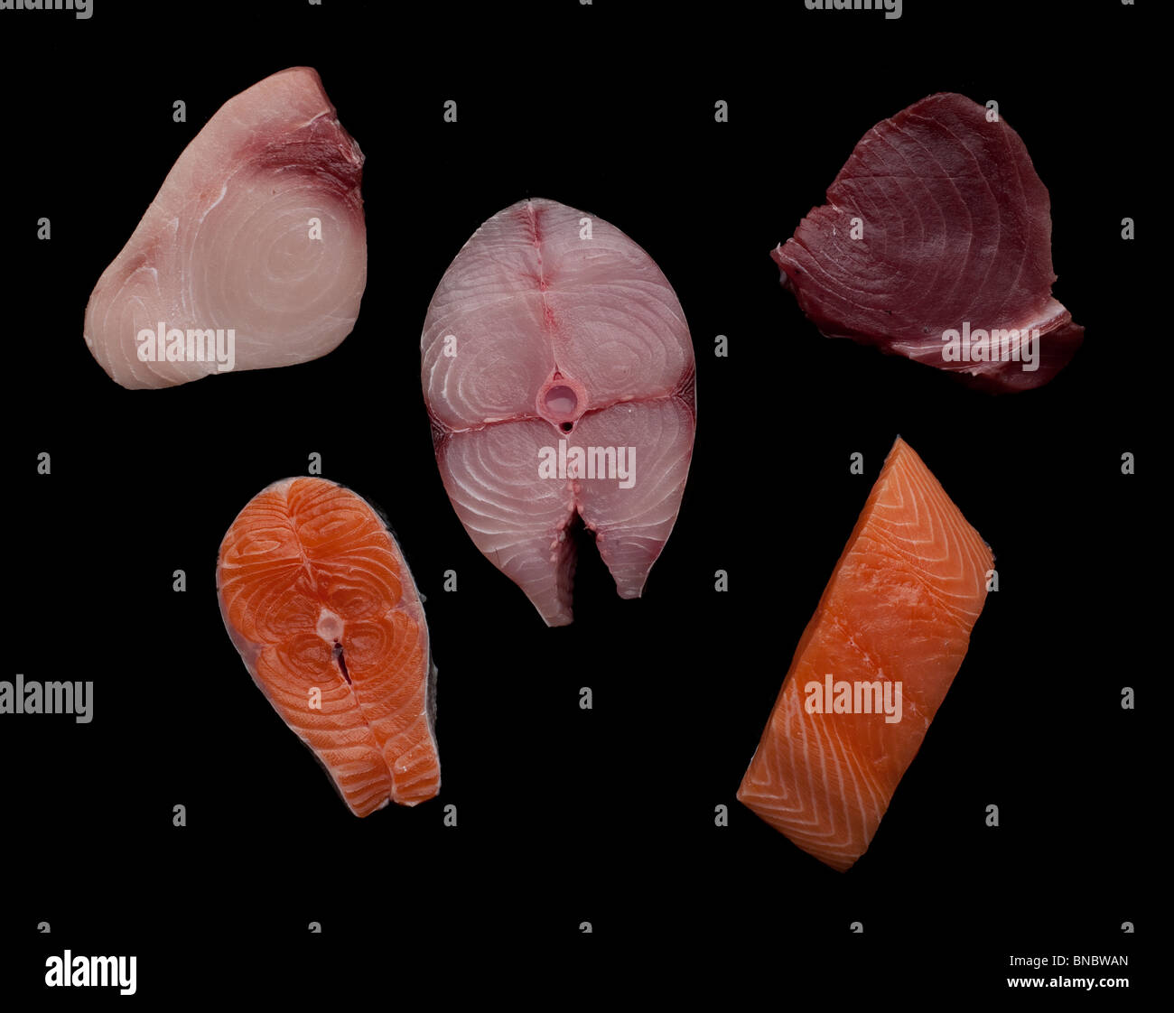 Xiphias gladius swordfish hires stock photography and images Alamy