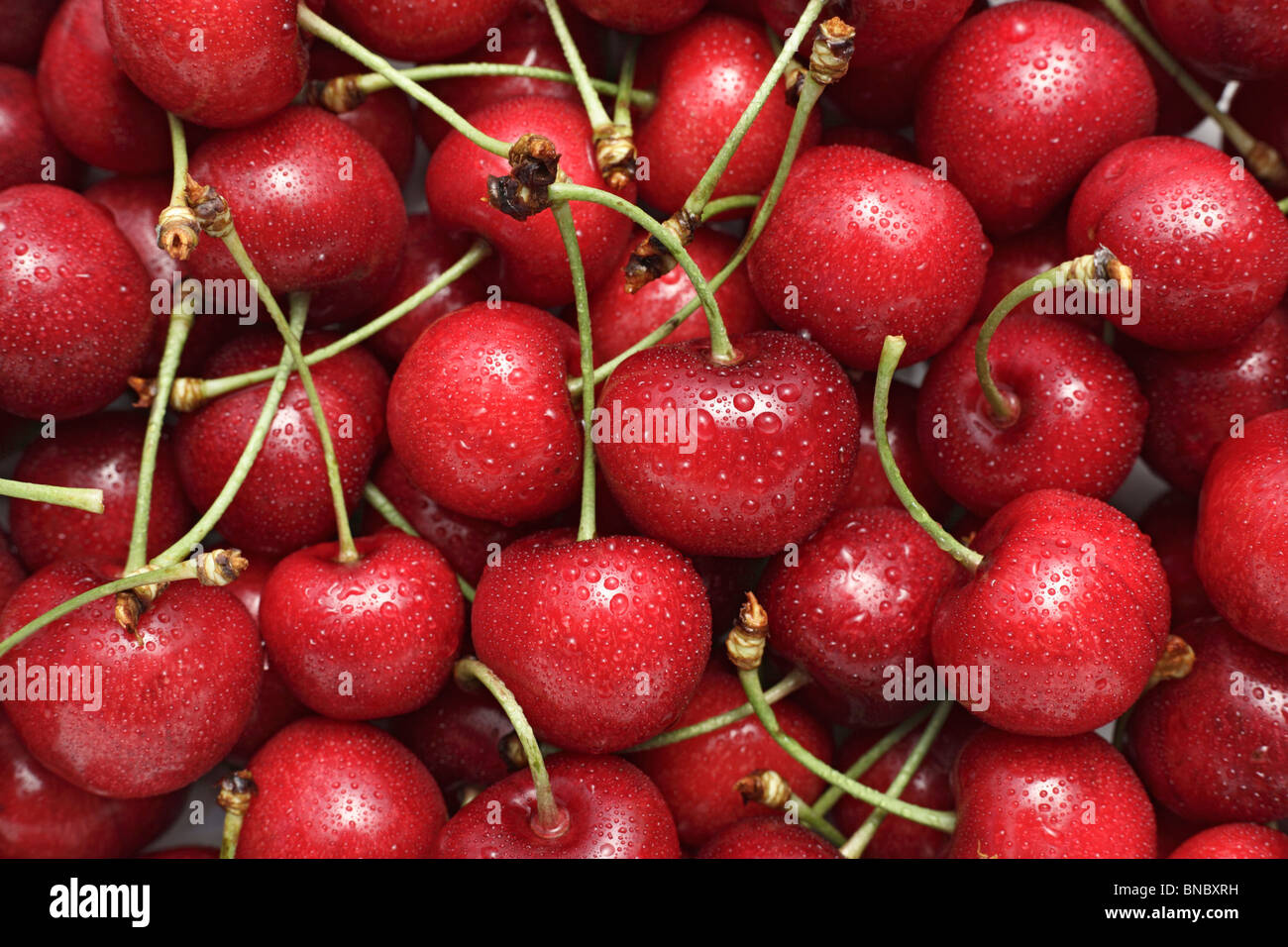 Sweet cherries Prunus Sunburst Stock Photo