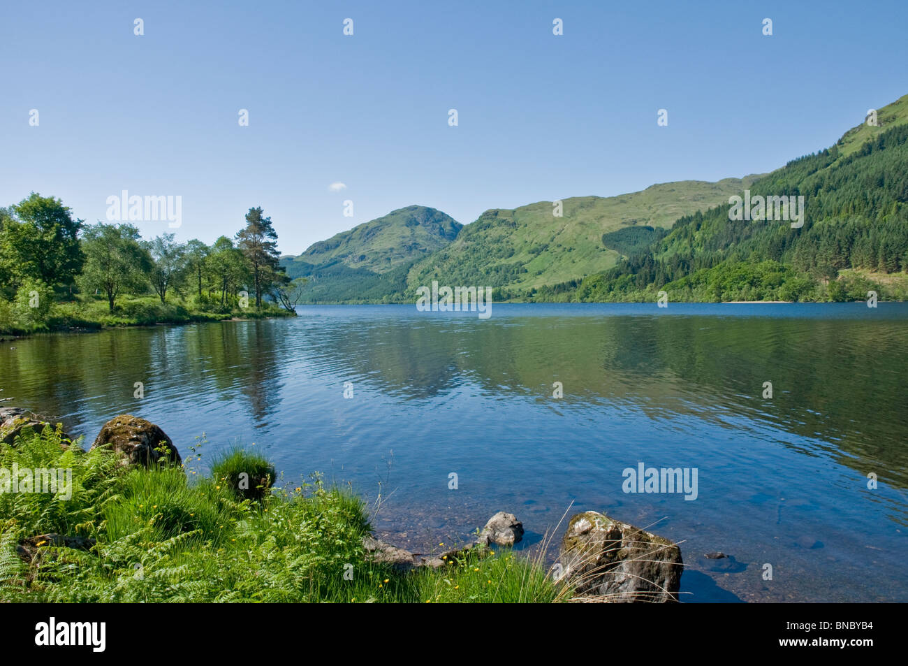 Loch Eck nr Dunoon Cowal Peninsula Argyll & Bute Scotland Stock Photo Alamy