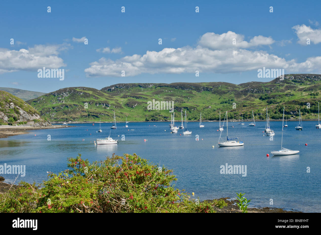 Yachts & boats in the Kyles of Bute at Tighnabruaich with Isle of Bute in background Argyll & BUte Scotland Stock Photo