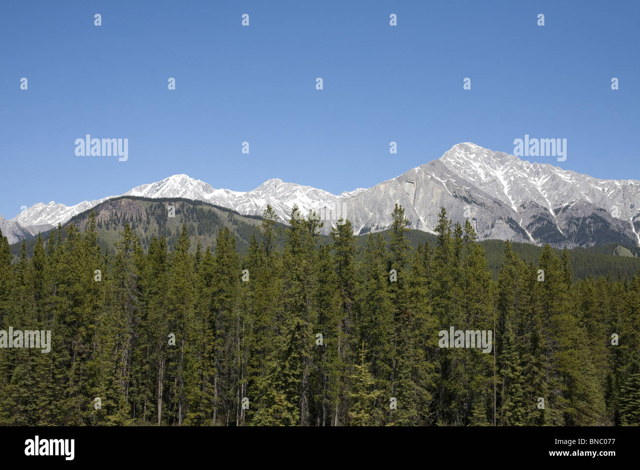 Rocky mountains forest canada hi-res stock photography and images - Alamy