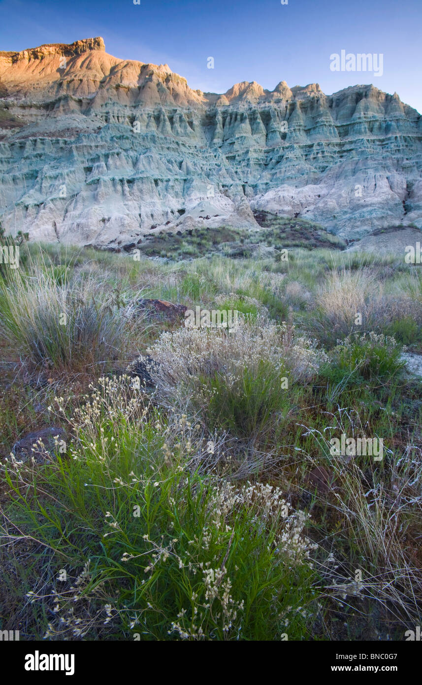 Blue Basin, John Day Fossil Beds National Monument, Oregon, USA Stock