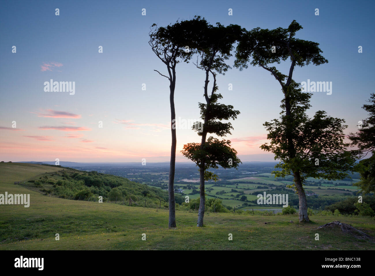 Chanctonbury Ring, South Downs National Park, West Sussex, England, UK Stock Photo