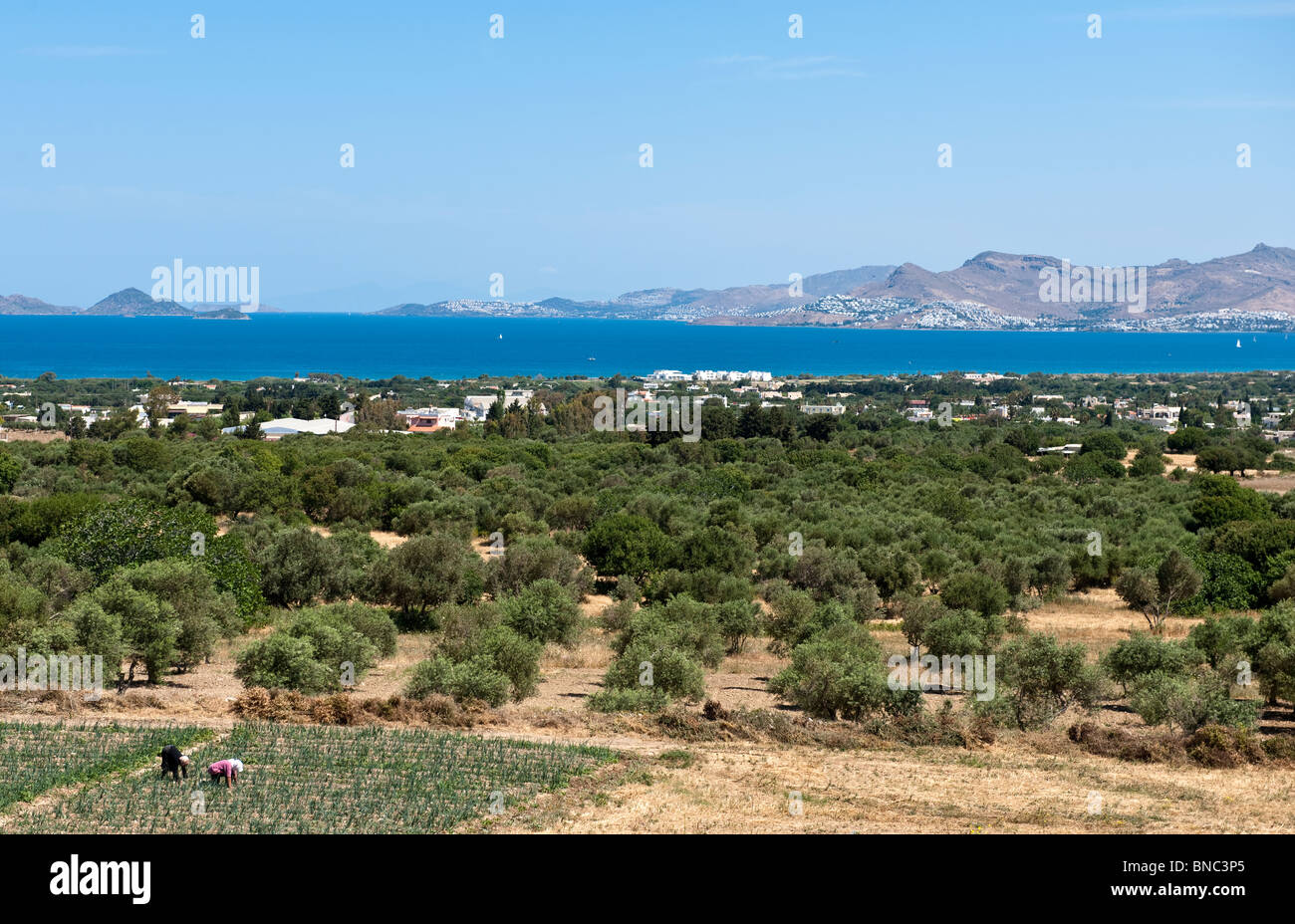 Greece, Dodecanese, Kos, view on the island from Zia village Stock Photo
