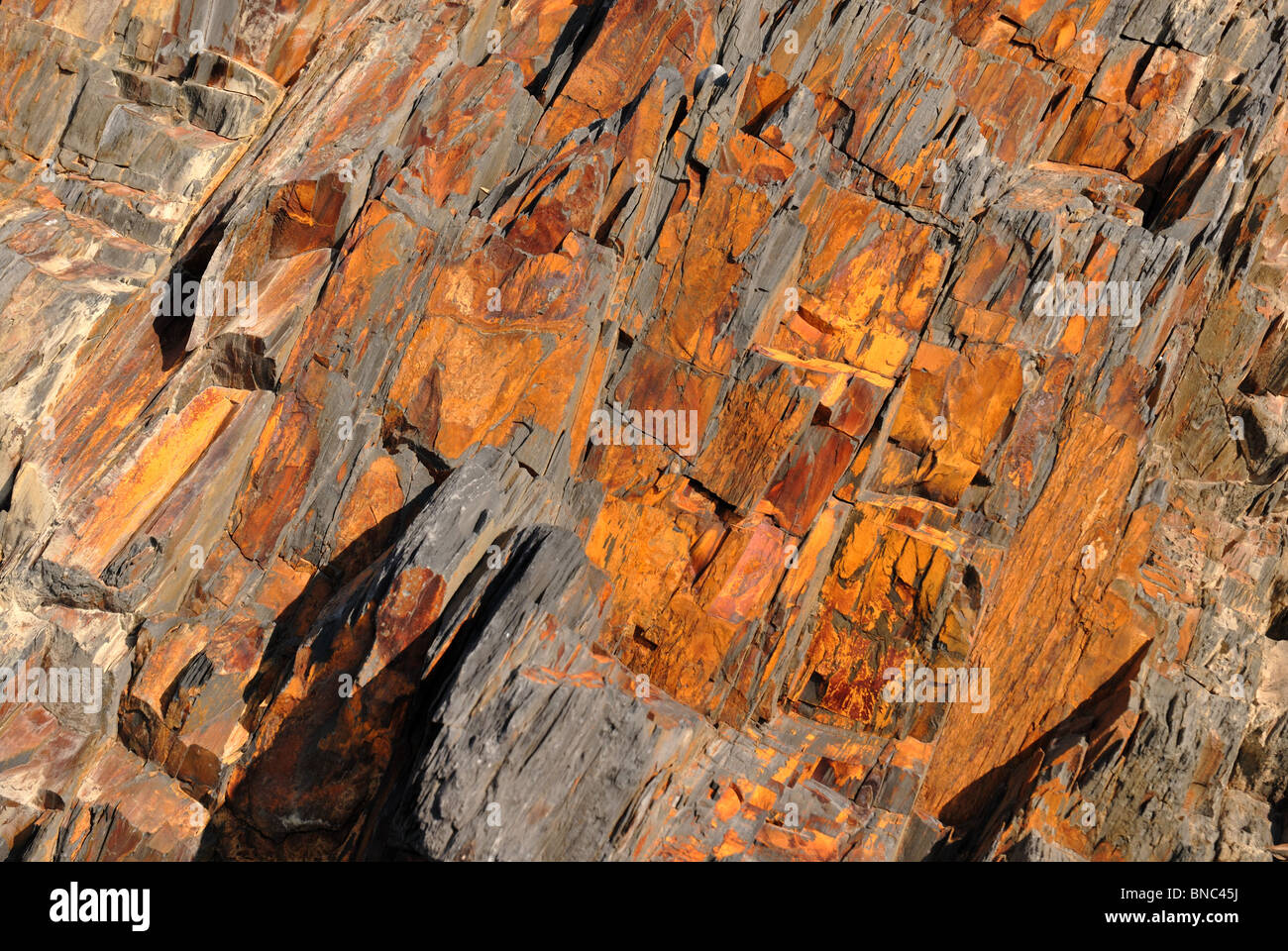 Close up of bands of yellow brown rock formation on Devon beach Stock Photo