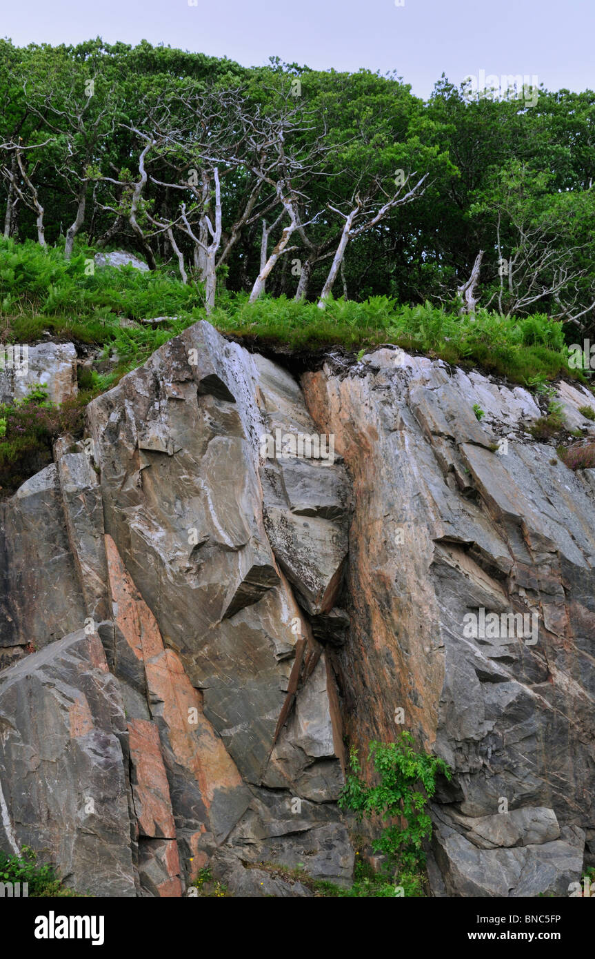 Trees grow atop a sheer cliff studded with huge rocks west of Glenfinnan Stock Photo