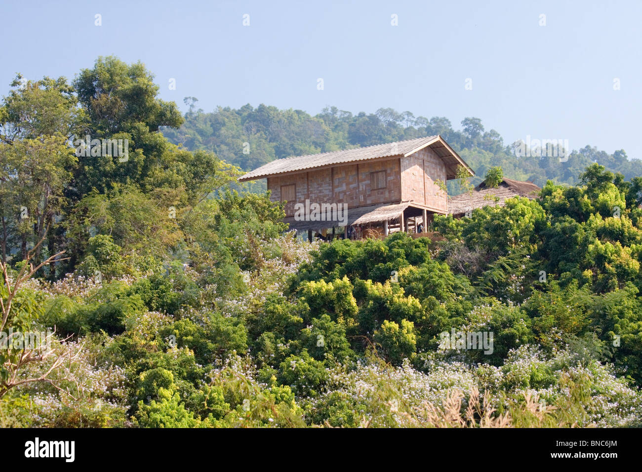 Bamboo house in a village, Tha Ton, Chiang Mai Province, Thailand Stock Photo