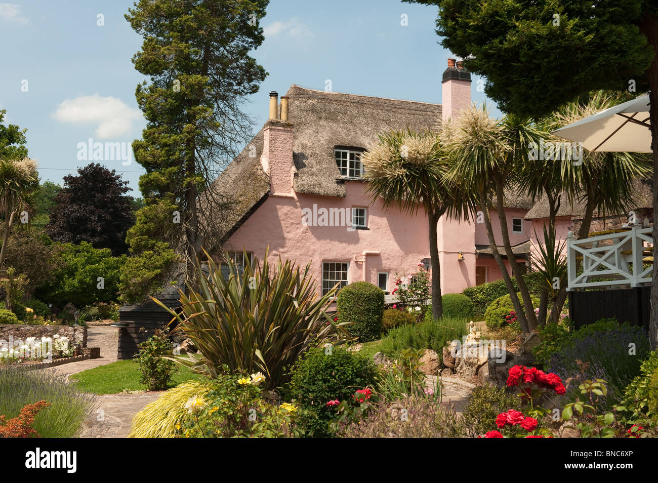 Rose Cottage Tea Gardens, Cockington Village, Torbay Stock Photo