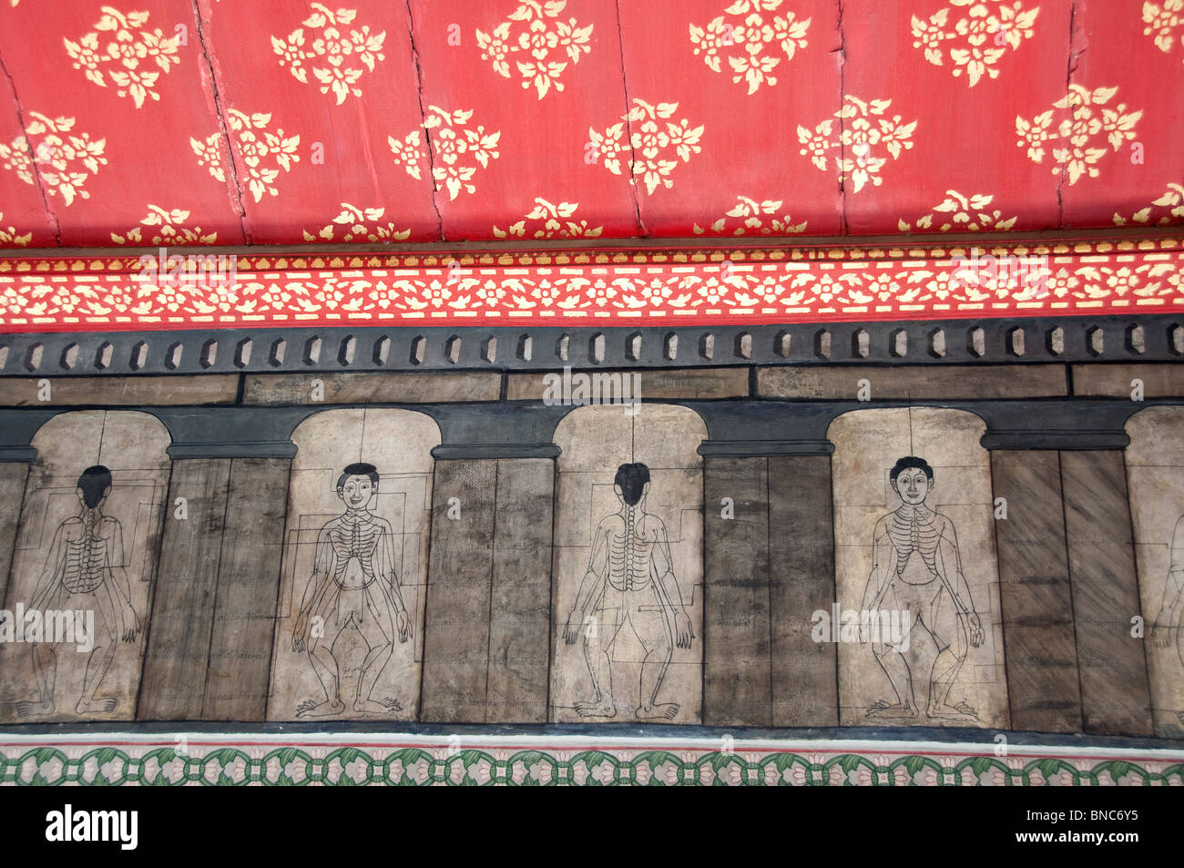ancient thai massage pressure points on wall of buddhist temple in