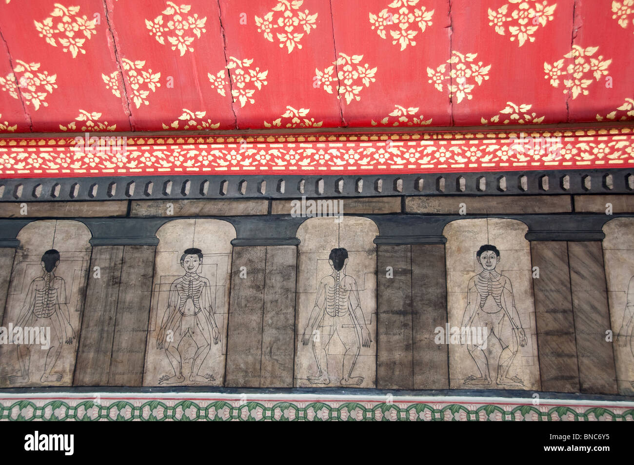 ancient thai massage pressure points on wall of buddhist temple in bangkok, thailand Stock Photo