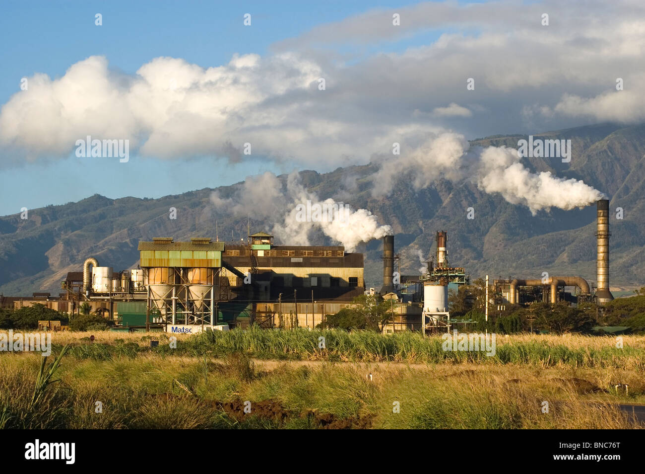 Elk2844075 Hawaii, Maui, Pu'unene Sugar mill with sugar cane field in foreground Stock Photo