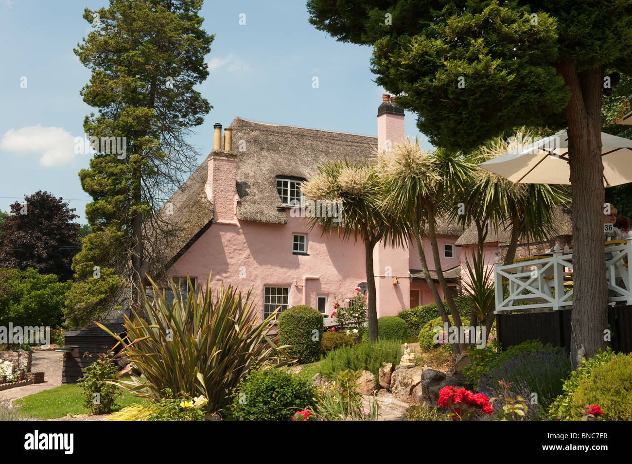 rose-cottage-tea-gardens-cockington-village-torbay-stock-photo-alamy