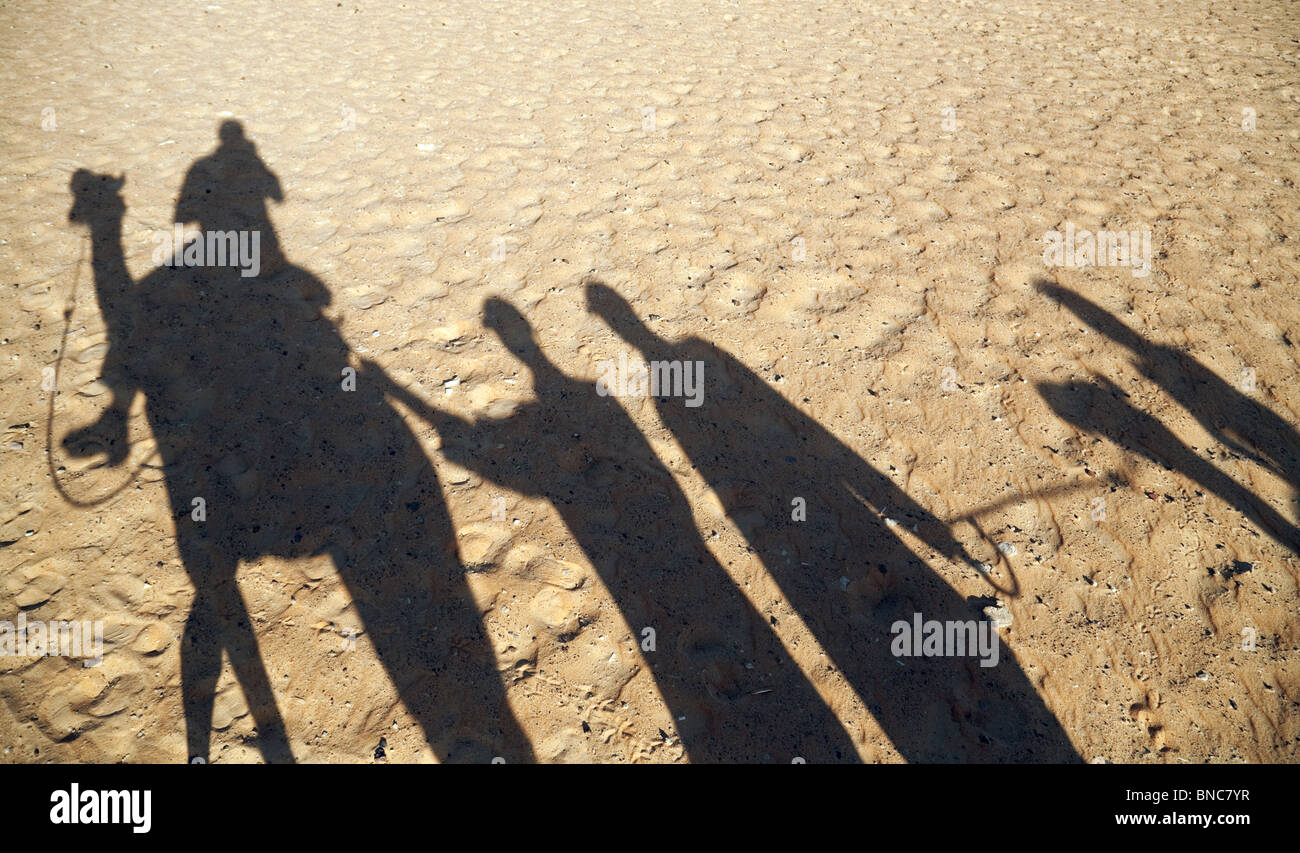 Shadows of camels and their tourist riders on the sand, the desert outside Aswan, Upper Egypt Stock Photo